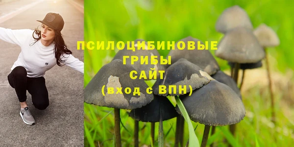 ГАЛЛЮЦИНОГЕННЫЕ ГРИБЫ Липки