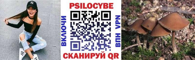 Псилоцибиновые грибы ЛСД  Шиханы 